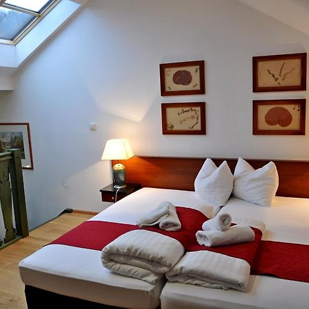 Hotel U Bílého koně Loket Chambre photo